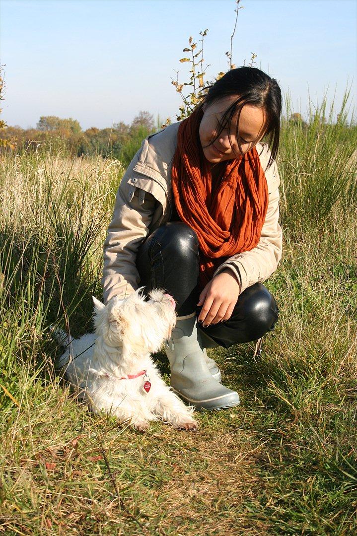 West highland white terrier Holms Mille - Fotograf: Marie Holm
Fotoshoot på heden 22-10-2011
På billedet ses også Marie Holm. billede 11