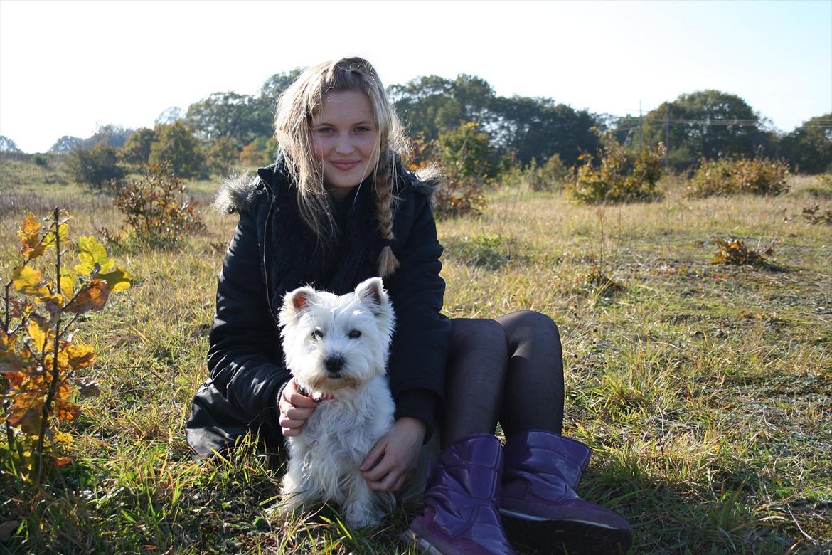 West highland white terrier Holms Mille - Fotograf: Marie Holm
Fotoshoot på heden 22-10-2011
På billedet ses også Benedicte Perruchon. billede 18