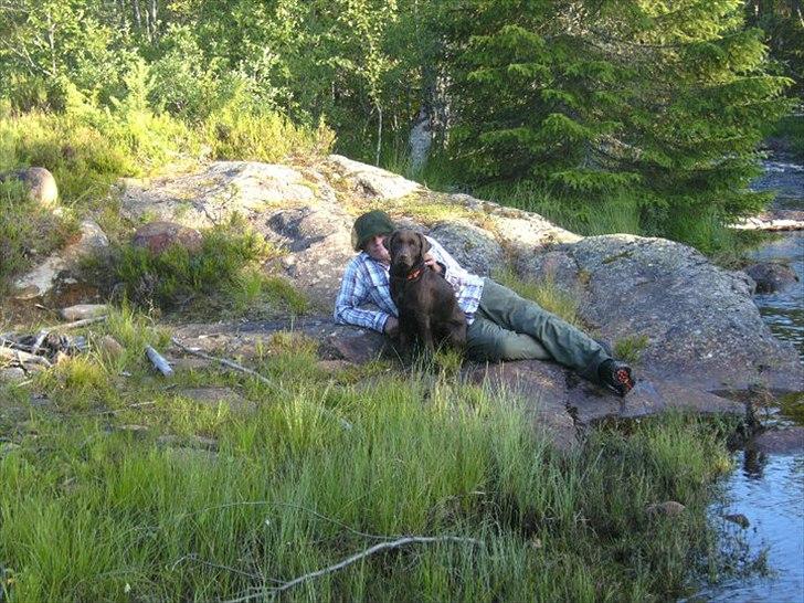 Labrador retriever William Jensen - Sidder og slapper af efter mange timers vandring billede 11