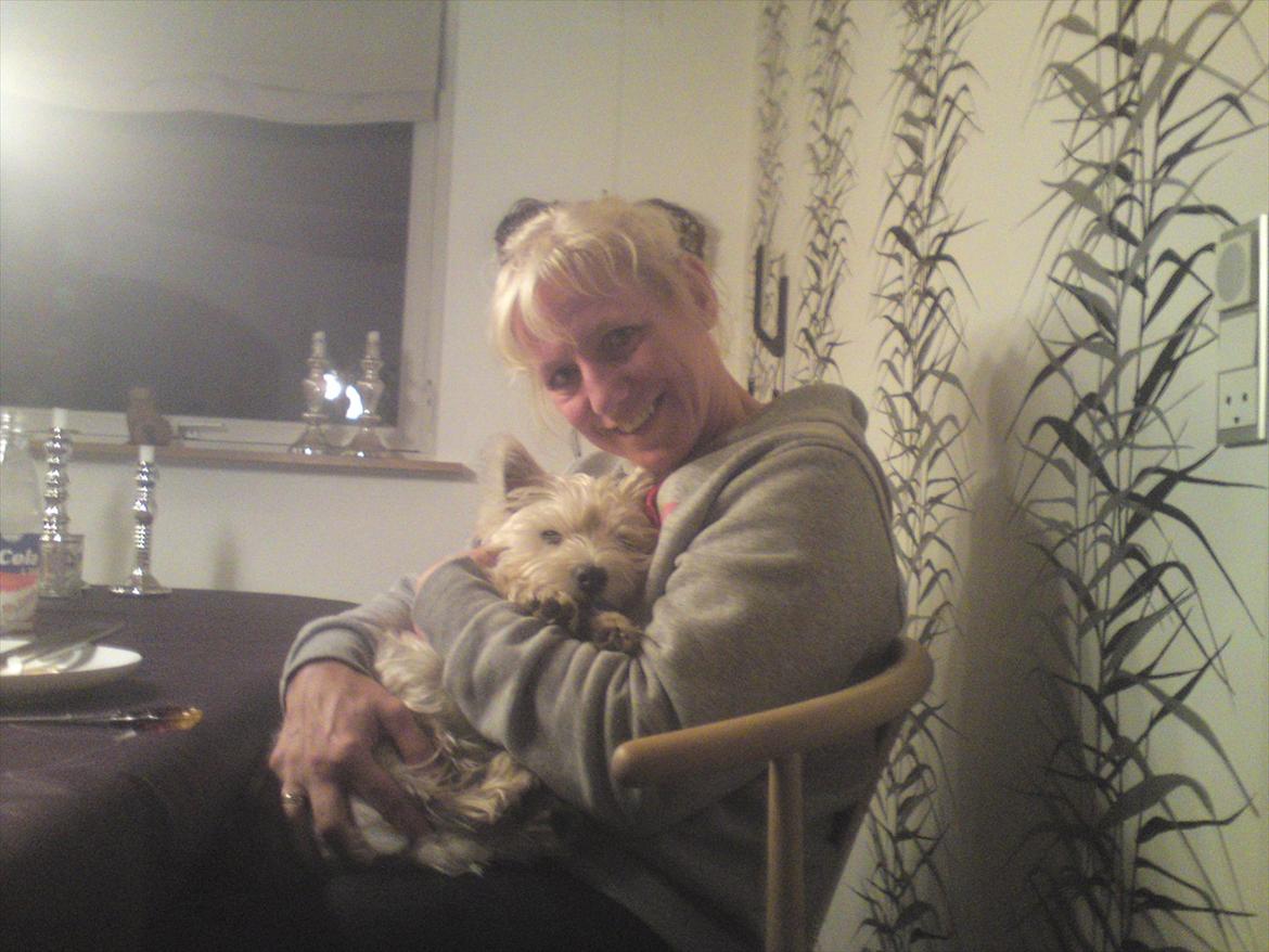 West highland white terrier Ronya (Excuse me) - Mor og Ronya :D billede 7