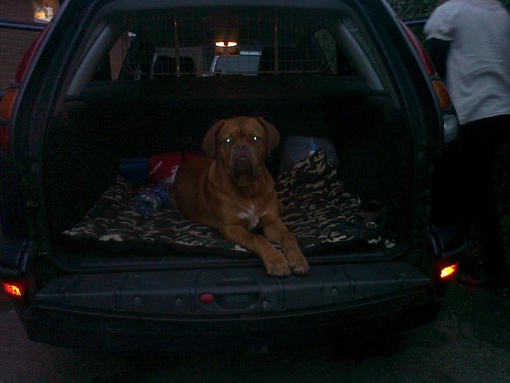 {{currentPhoto.altText}} billede {{currentPhoto.number}}