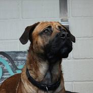 Blanding af racer Tyson