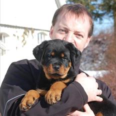 Rottweiler Heitahs Uno