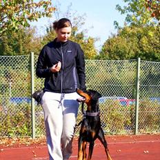 Dobermann Star Anakin's Space Traveller Laika