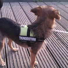 Blanding af racer Virginia