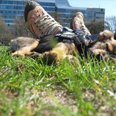 Blanding af racer Virginia