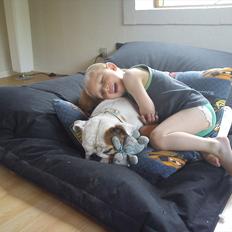 Engelsk bulldog Bertha