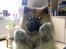 Chow chow Lucky