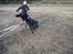 Blanding af racer Shiba - Julie og Shiba <'3 NYT