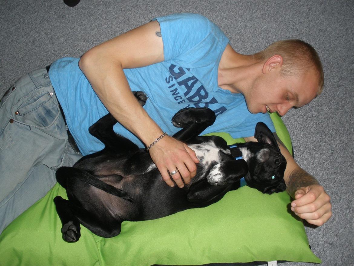 Blanding af racer Vaks billede 6