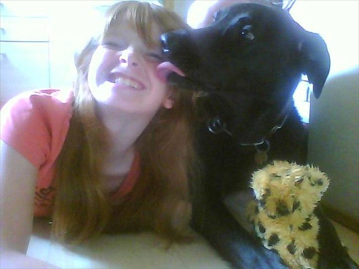 Blanding af racer Walther billede 19