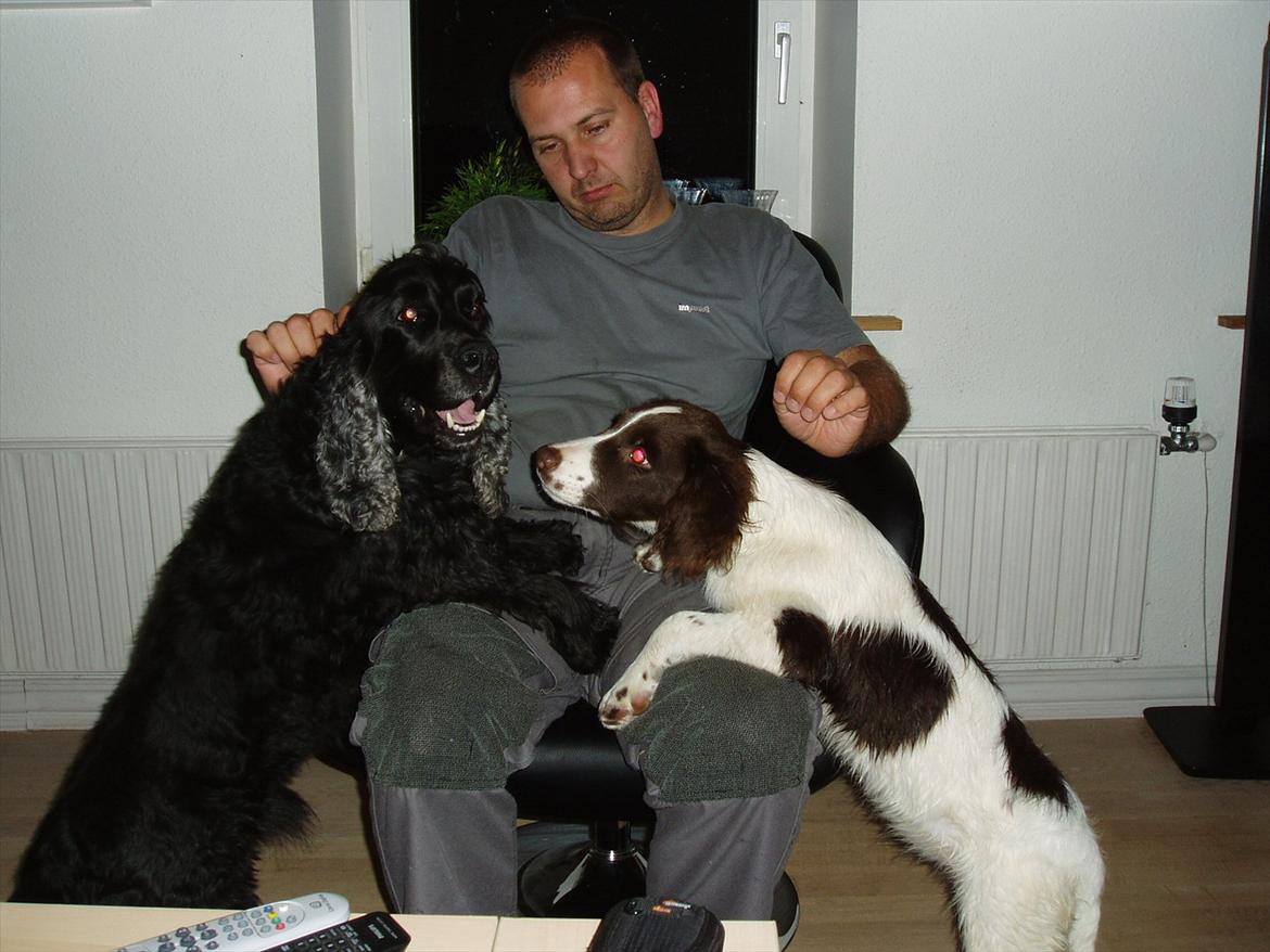 Blanding af racer Fiona - Fiona og Buller sammen med farmand billede 18