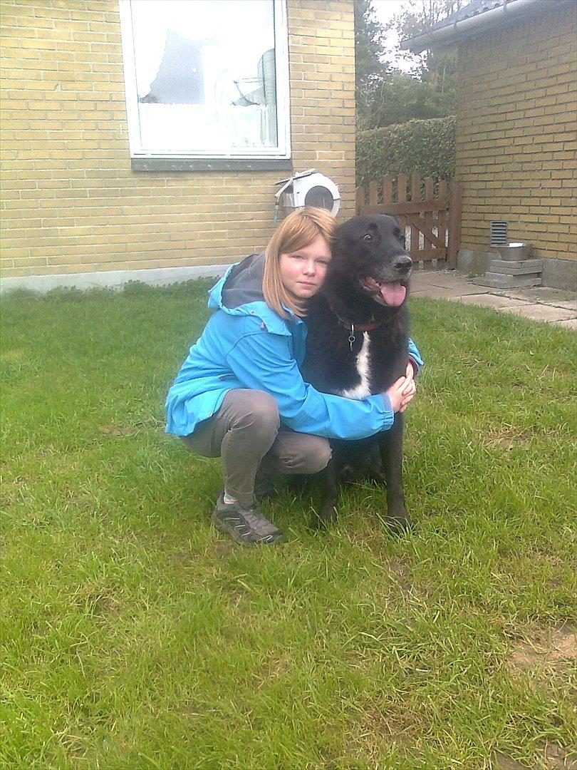 Blanding af racer Balto - Vi Ses billede 20