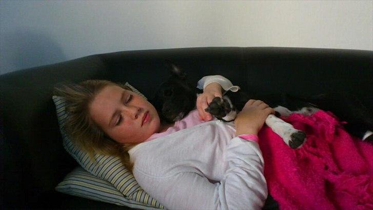 Blanding af racer Tino - Tino putter med min søster Lotte billede 3