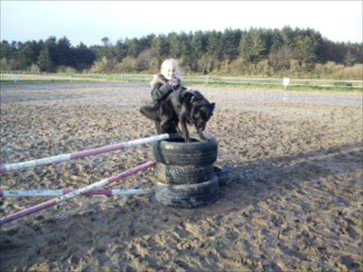 Blanding af racer Shiba - Julie og Shiba ;D <'3 NYT billede 18