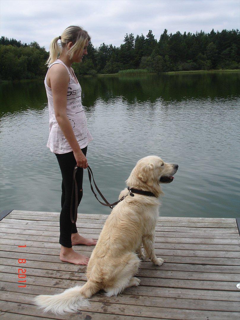 Golden retriever Hannibal - Hannibal og min skønne datter ved Søby sø <3 billede 5
