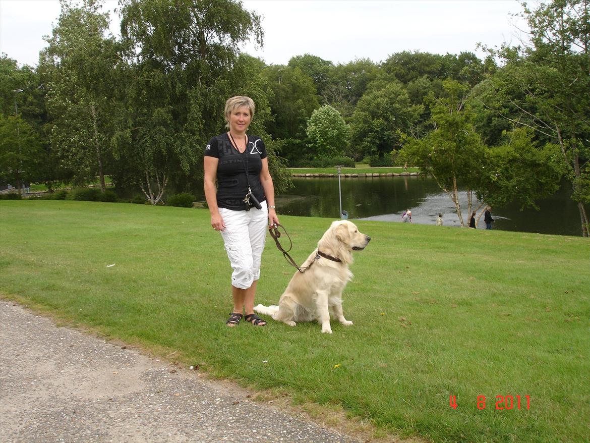 Golden retriever Hannibal - Hannibal og Mor :o) billede 11