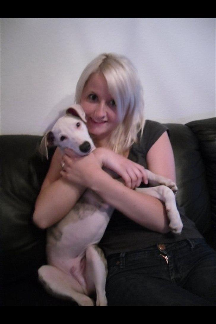 Whippet Snif - Mig og mor :)! billede 15