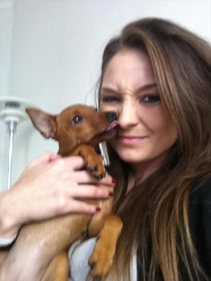 Dvaergpinscher Emma - KYS! billede 5