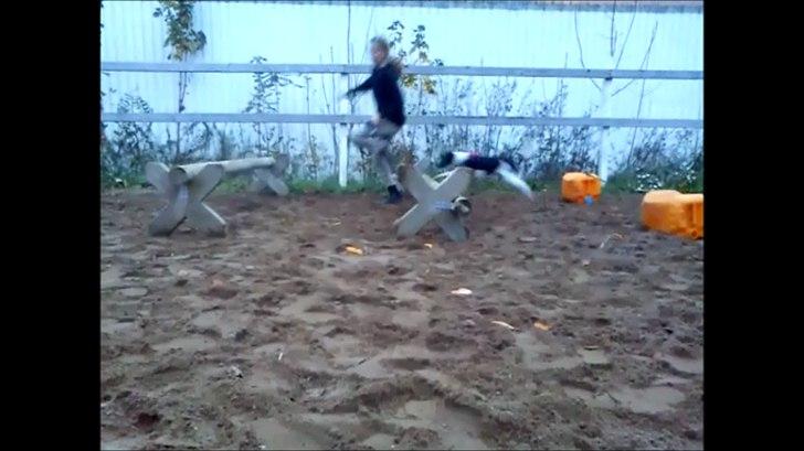 Dansk svensk gaardhund Molly <3 - Lækre bagben. billede 9