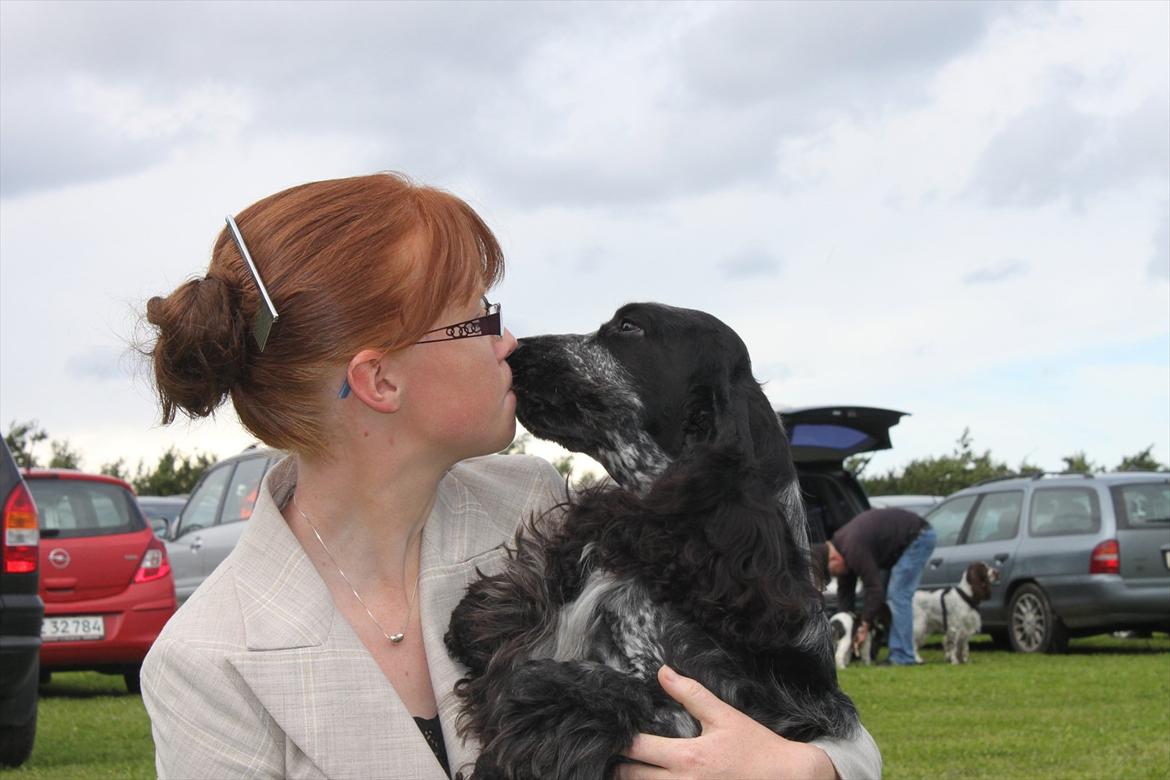 Cocker spaniel Dylan-Dan-L's Black Money billede 12