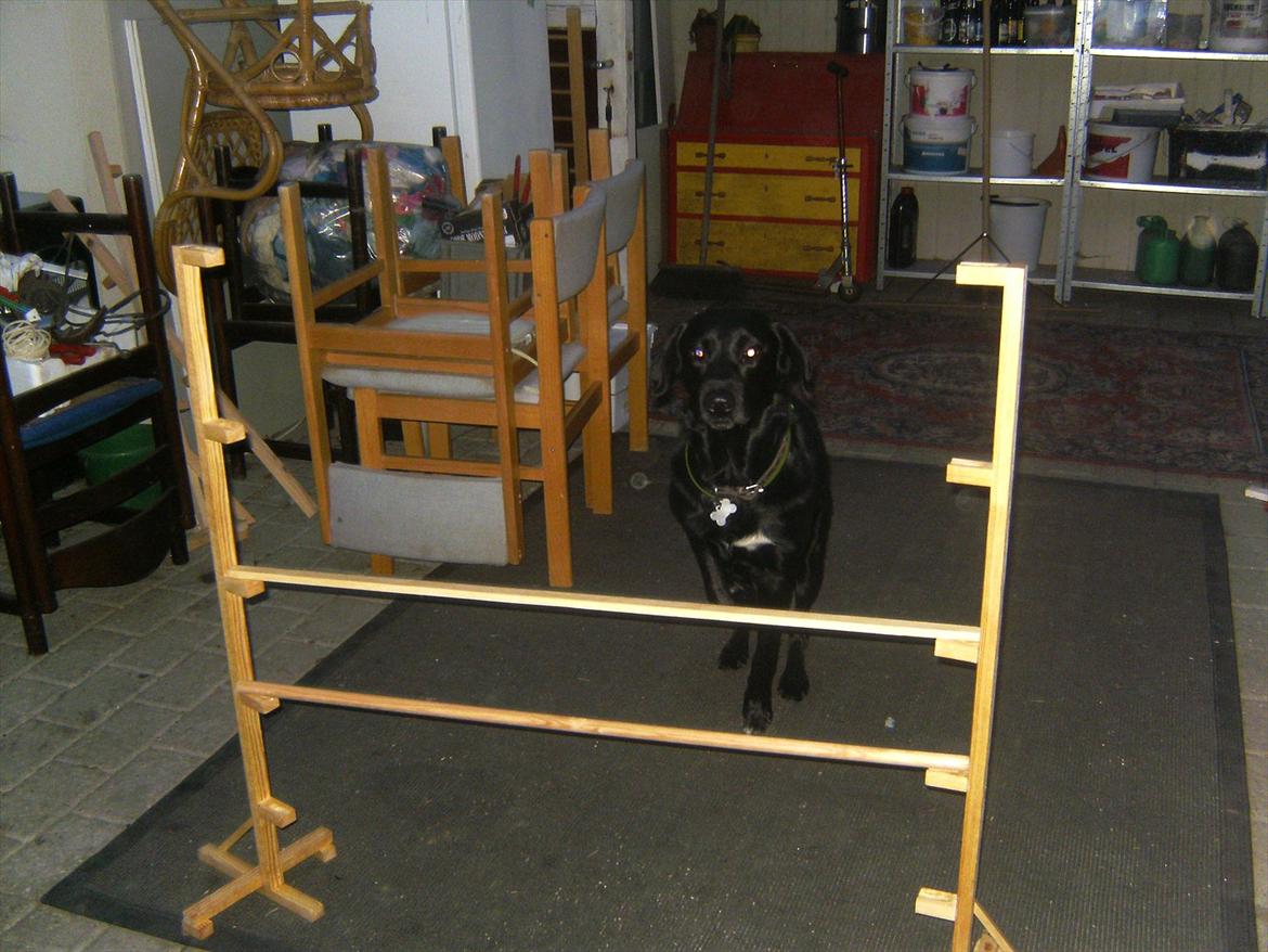 Blanding af racer Nick<3 billede 9