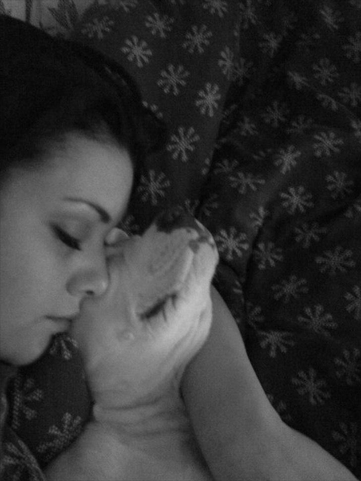 Blanding af racer Nate - Årh, at putte er livet! billede 7