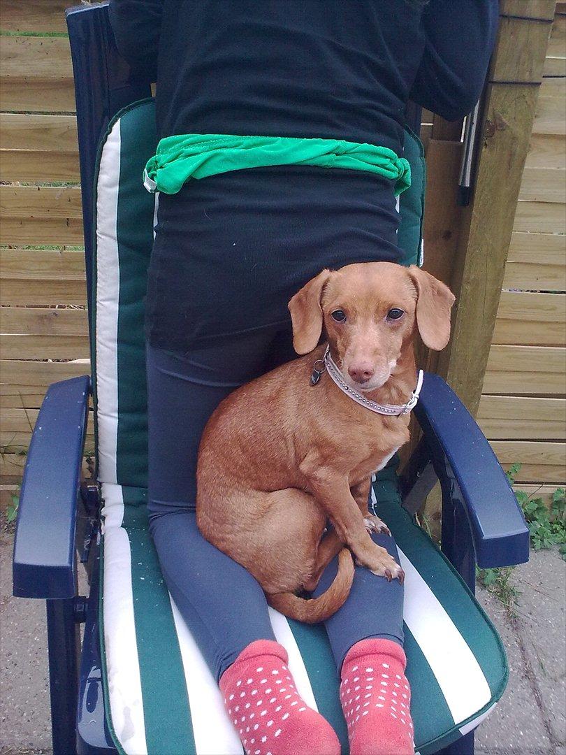 Blanding af racer Karla Jensen billede 3