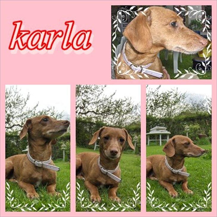 Blanding af racer Karla Jensen billede 4