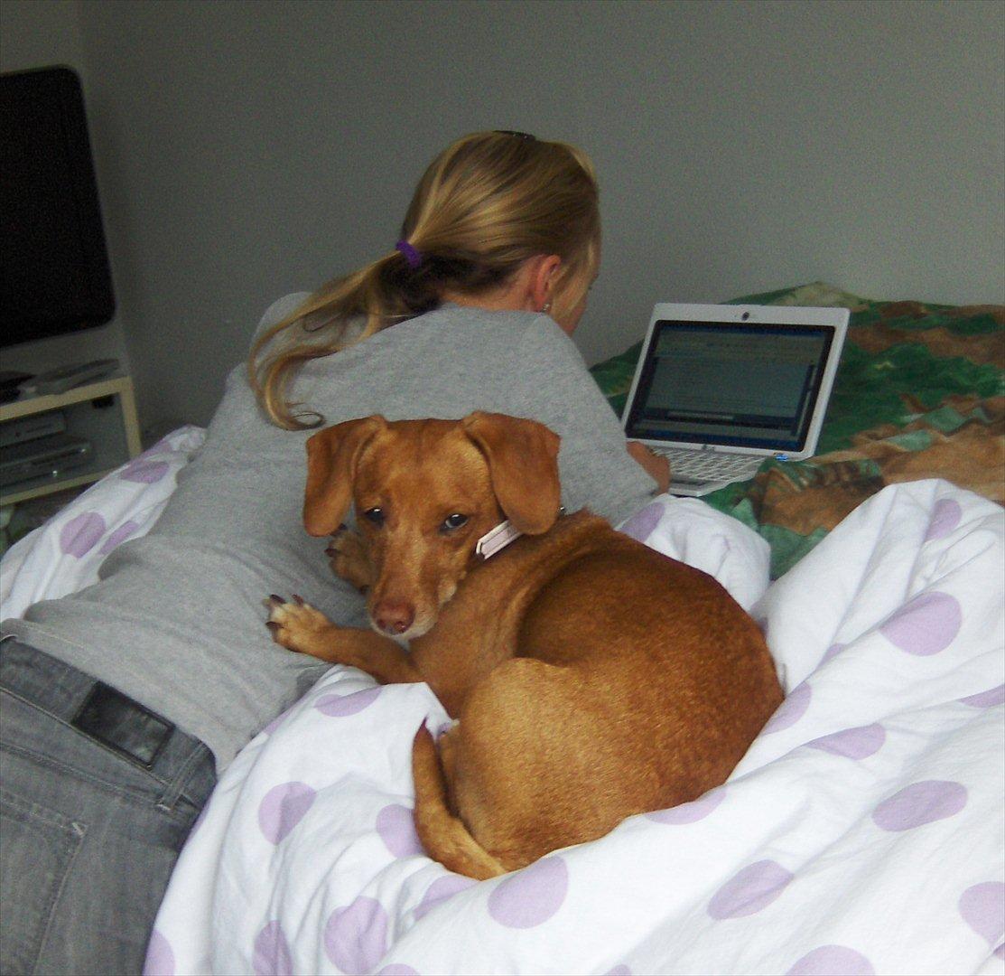 Blanding af racer Karla Jensen billede 6