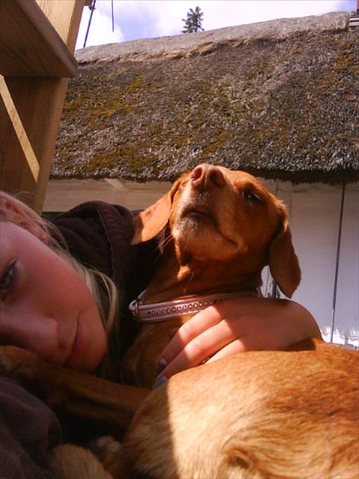 Blanding af racer Karla Jensen billede 15