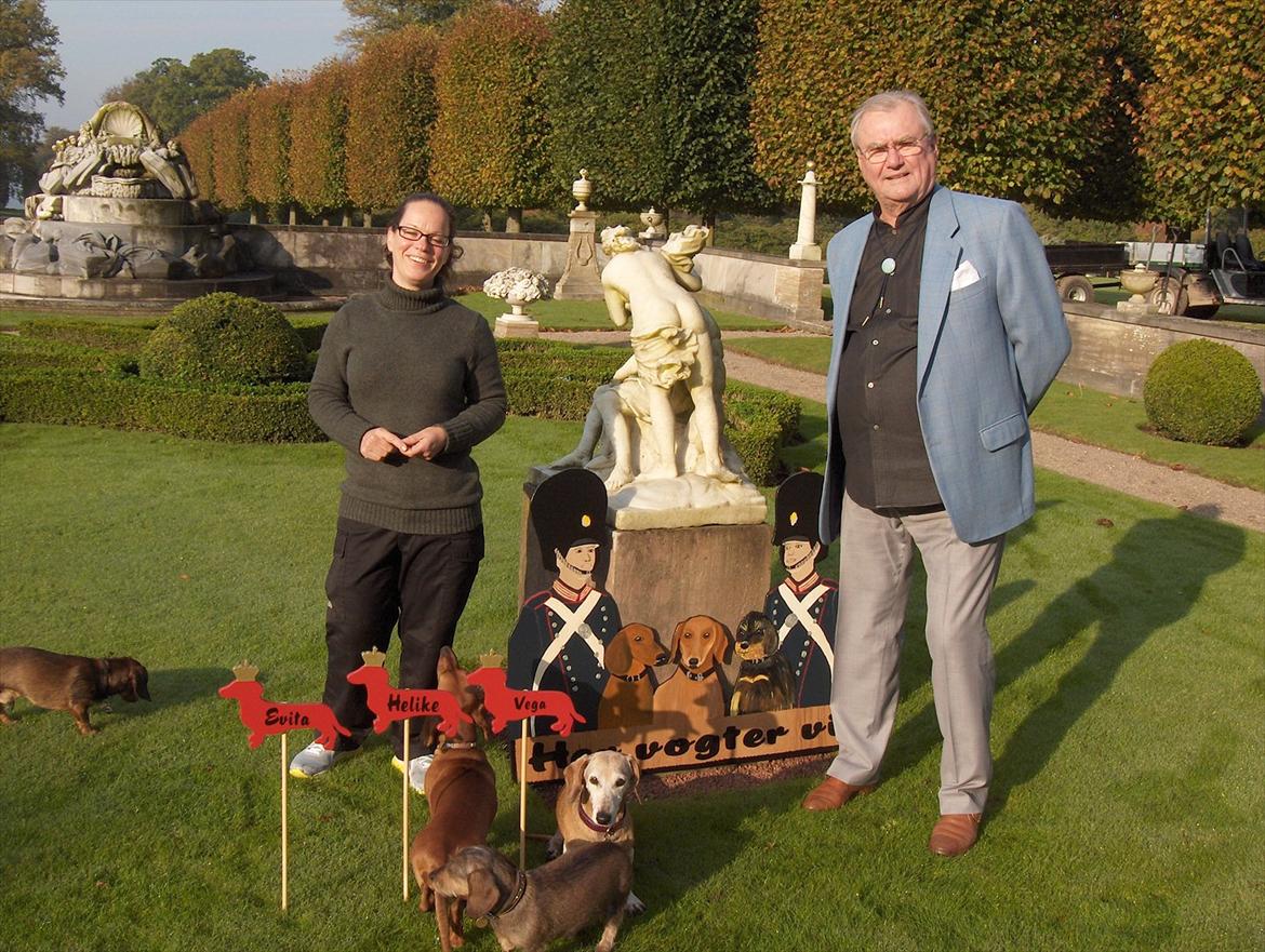 Gravhund Igor - Fredensborg sammen med Igor, Vega(Igors mor), Helike, Evita og ......Nå ja....... billede 18