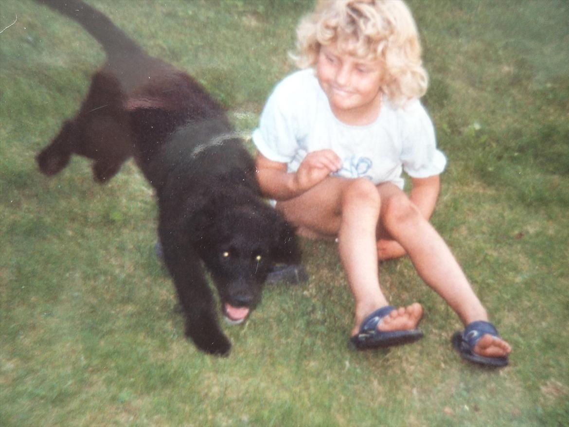 Blanding af racer Neja (R.I.P) billede 10