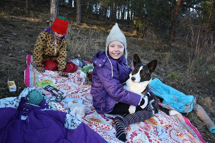 Welsh corgi cardigan Berta <3 - Så er vi sku på skovtur <3 billede 3