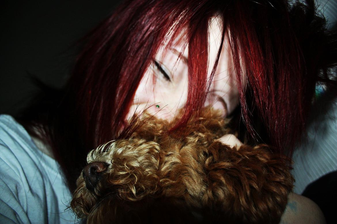 Dværgpuddel | Buller - Min Buller basse <3 billede 11