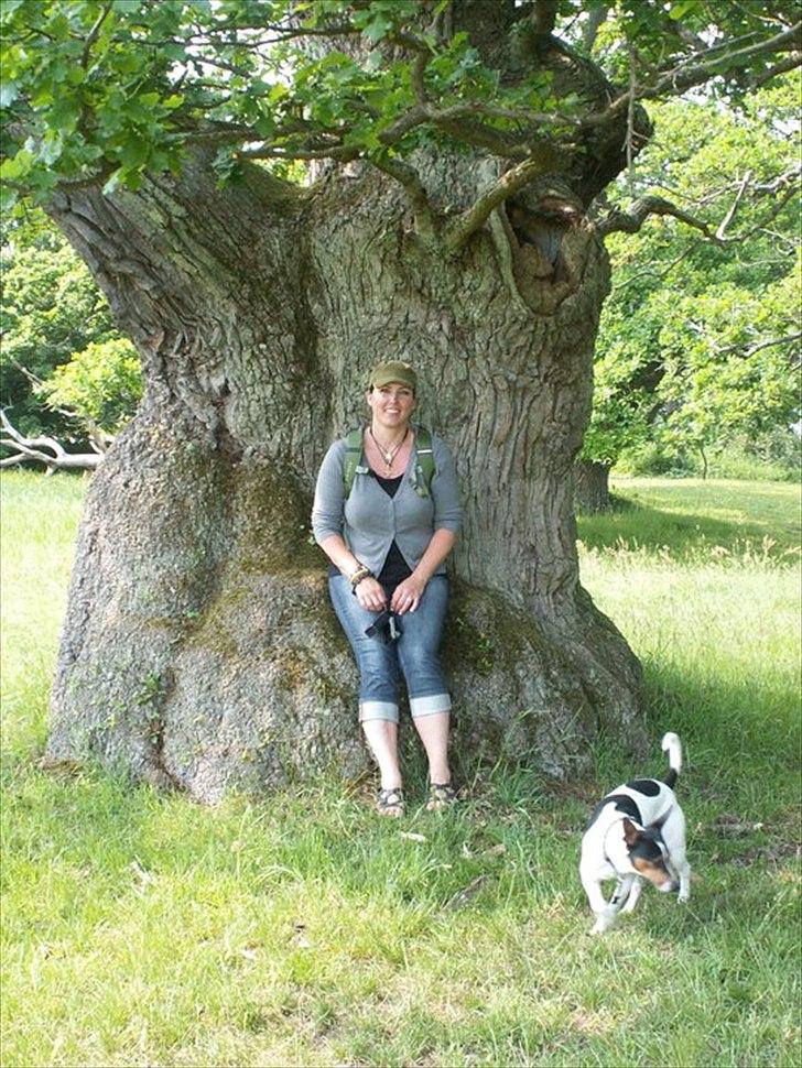 Dansk svensk gaardhund Hugo - Skejten sommeren 2011 billede 20