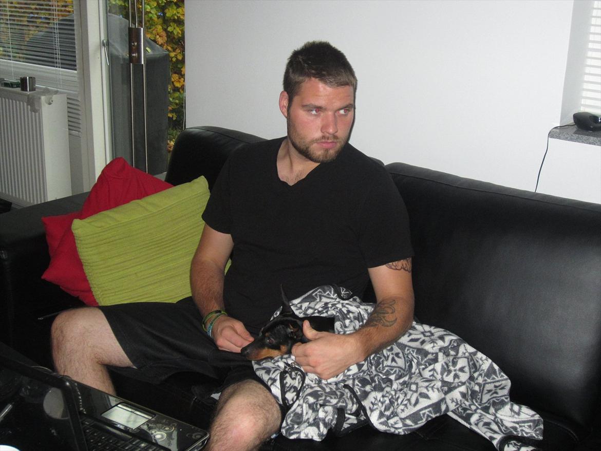 Dvaergpinscher Caras for ever Etoo - Hygge med Philip, da han var hjemme  på  levle inden han skal tilbage til Afghanistan. Elsker at putte i tæpper. billede 2