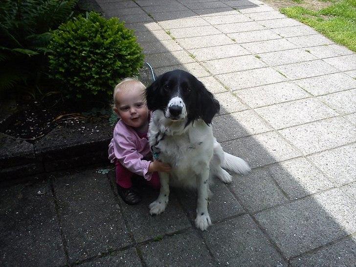 Blanding af racer Mollie TYKKE<3 - Mollie & sofie billede 18