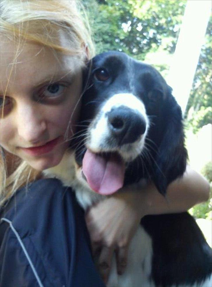 Blanding af racer Mollie TYKKE<3 - Mollie jeg elsker dig ! <3
 billede 19