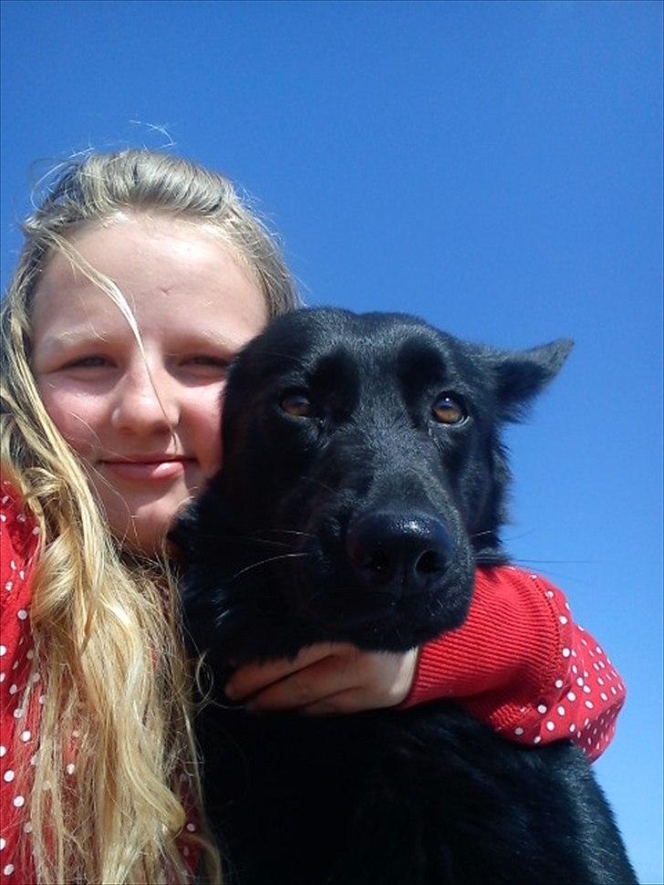 Blanding af racer Muddi - Foto - Camilla. 
En hyggelig stund sammen med Muddi<3 billede 1