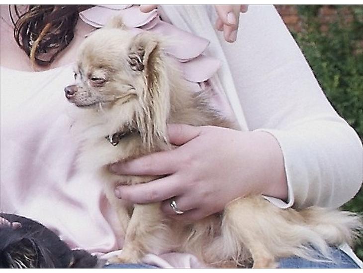 {{currentPhoto.altText}} billede {{currentPhoto.number}}