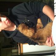 Blanding af racer Hector