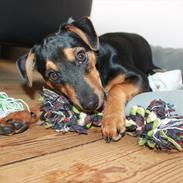 Blanding af racer Max