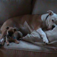 Blanding af racer stitch