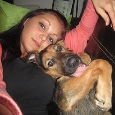 Blanding af racer Bailey