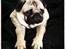 Mops - Danita's Ditte 