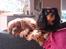 Cavalier king charles spaniel Luna