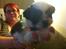 Shih tzu bobby