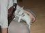 Chihuahua Honey Paj´s Yvain Yuzzlebug