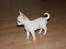 Chihuahua Honey Paj´s Yvain Yuzzlebug